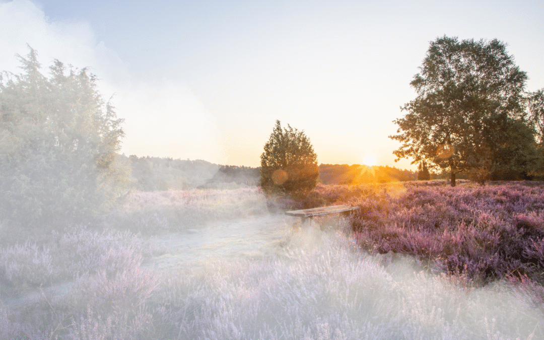 Je doet al zoveel. Waarom landt het dan niet?